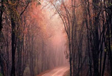 用手机怎么买股票:短线炒股怎样选股票-AI浪潮带动 光通信行业多家科创板公司上半年交出亮眼业绩